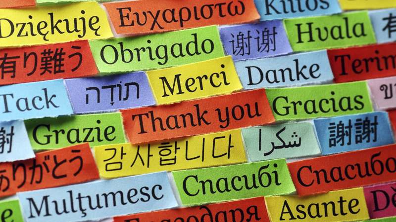 A Importância de Aprender uma Língua Estrangeira – Wunderwelt A